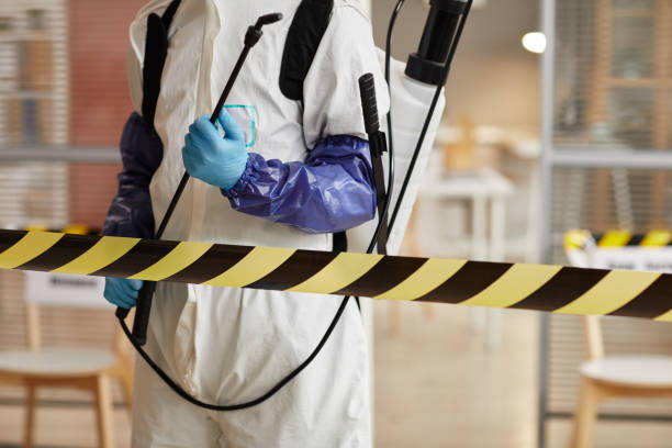 Professional Odor Removal technician working in Roslyn Heights, NY